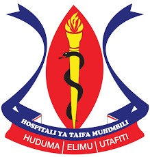 muhimbili national hospital mloganzila